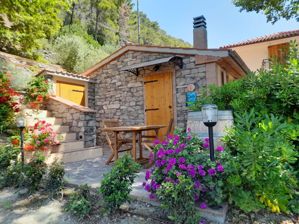 Maison moderne rénovée avec jardin à Castellina Marittima - Photo 25
