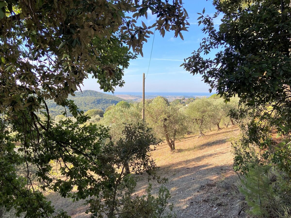 Maison moderne rénovée avec jardin à Castellina Marittima - Photo 27
