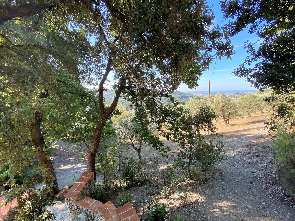 Maison moderne rénovée avec jardin à Castellina Marittima - Photo 31