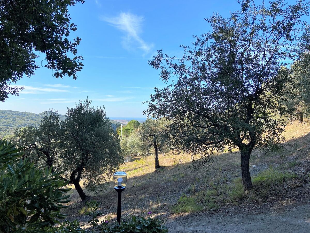 Maison moderne rénovée avec jardin à Castellina Marittima - Photo 38