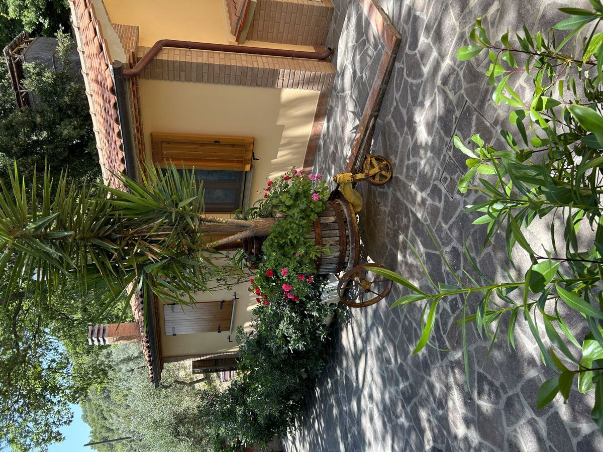 Maison moderne rénovée avec jardin à Castellina Marittima - Photo 40