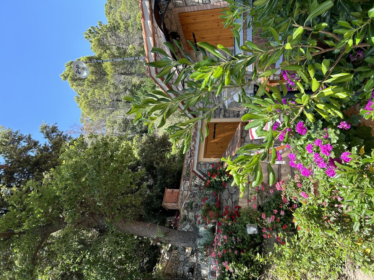 Maison moderne rénovée avec jardin à Castellina Marittima - Photo 41