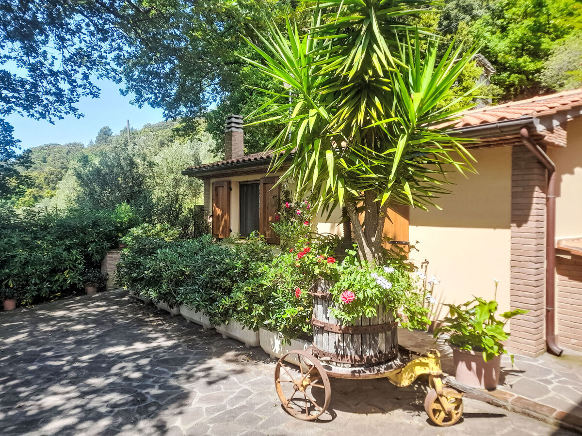 Maison moderne rénovée avec jardin à Castellina Marittima - Photo 43