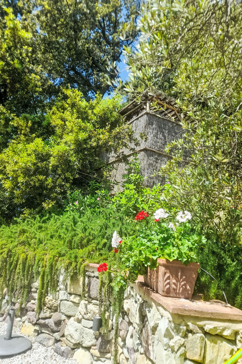 Maison moderne rénovée avec jardin à Castellina Marittima - Photo 44