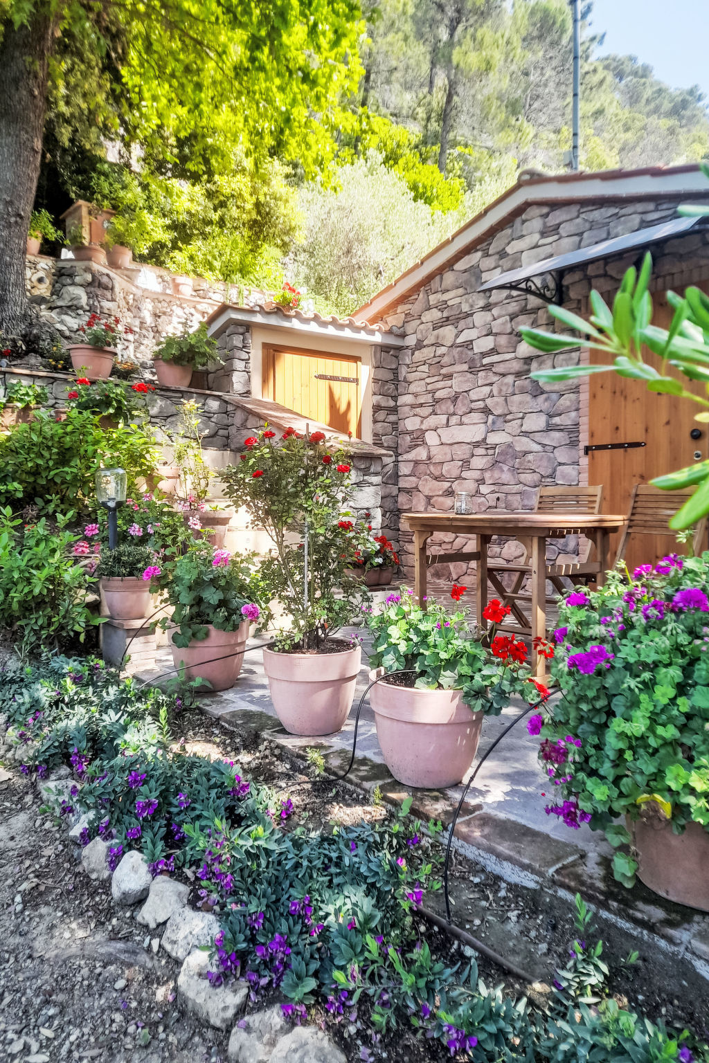 Maison moderne rénovée avec jardin à Castellina Marittima - Photo 45