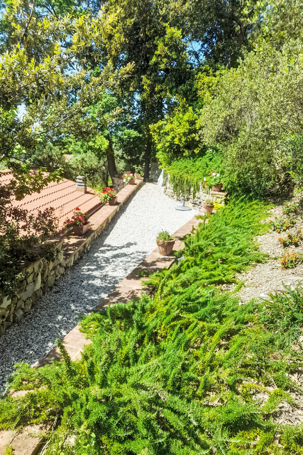 Maison moderne rénovée avec jardin à Castellina Marittima - Photo 46