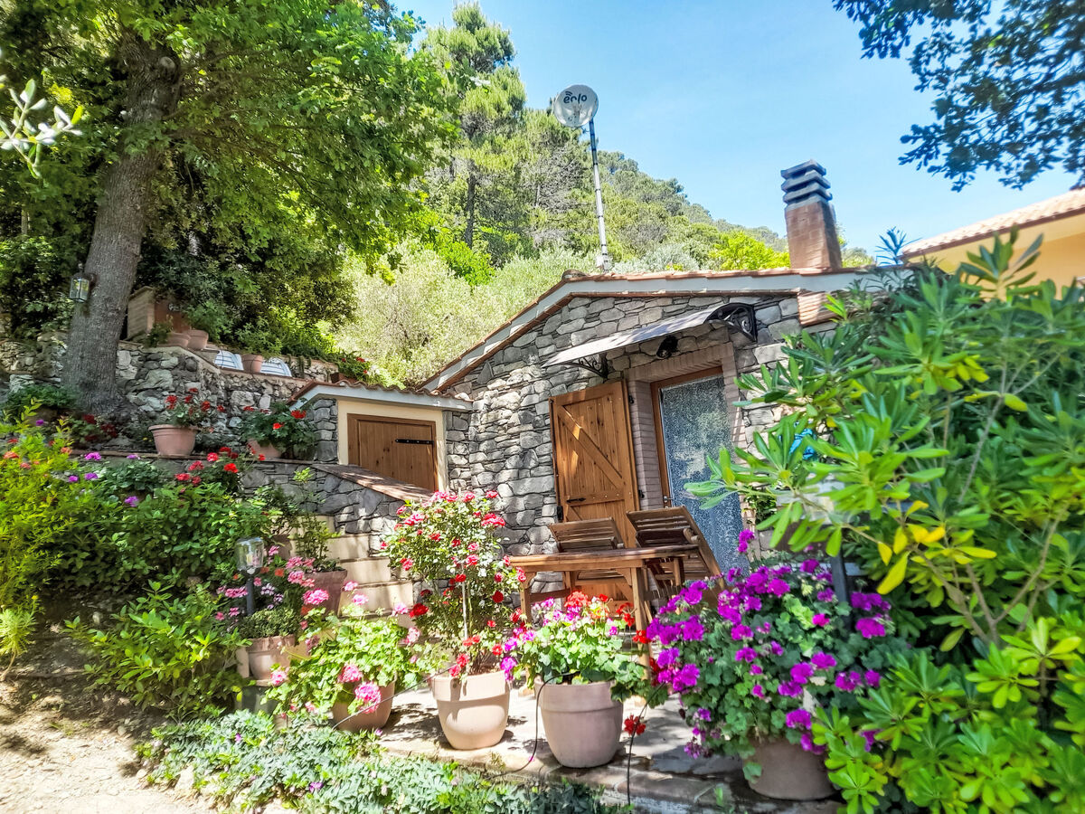Maison moderne rénovée avec jardin à Castellina Marittima - Photo 48