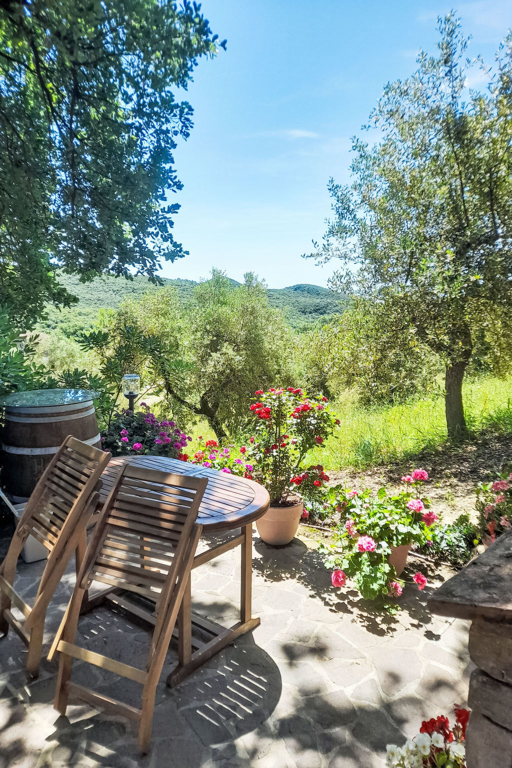 Maison moderne rénovée avec jardin à Castellina Marittima - Photo 49