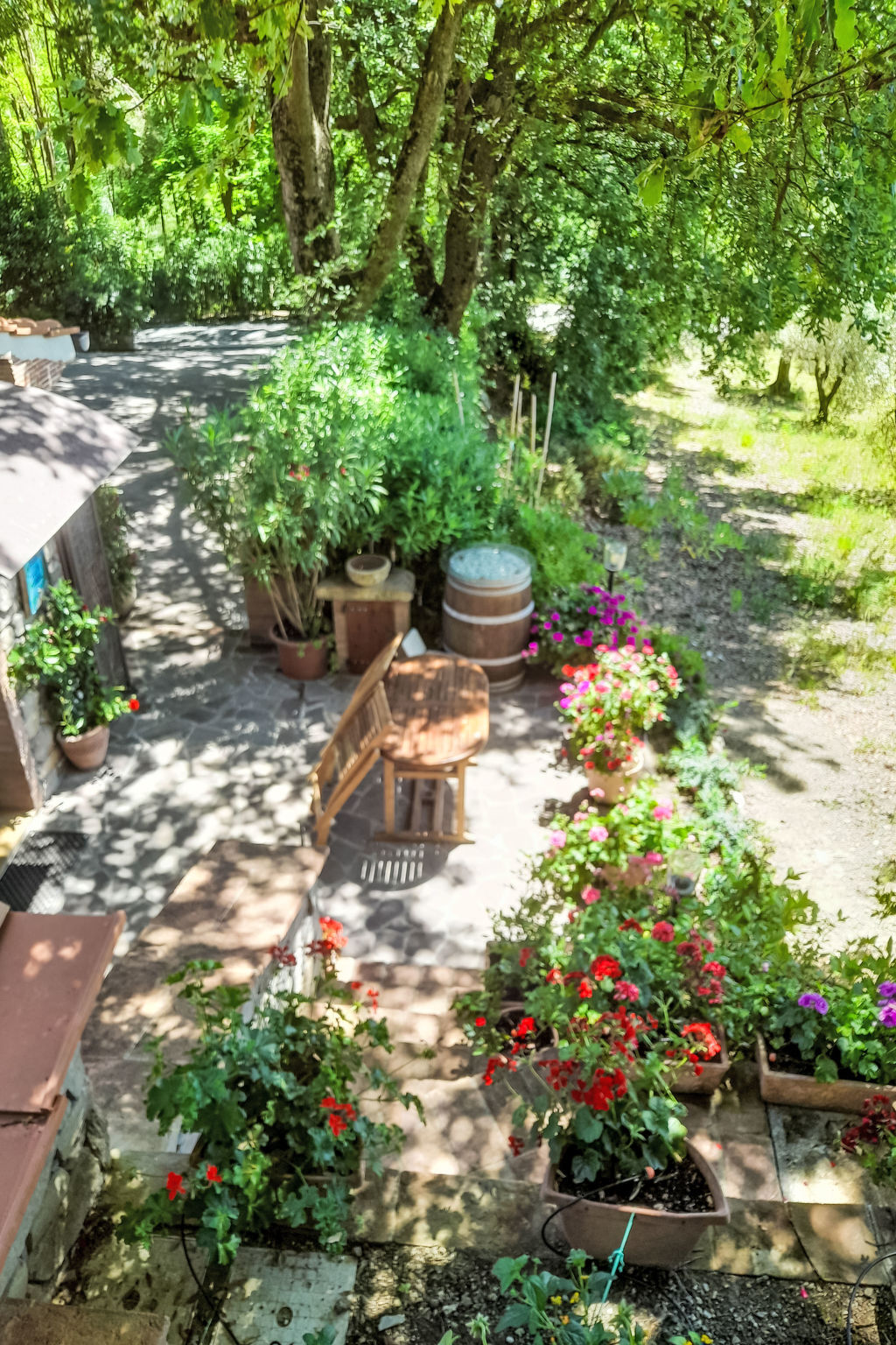 Maison moderne rénovée avec jardin à Castellina Marittima - Photo 50