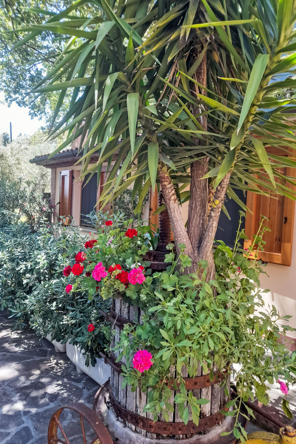 Maison moderne rénovée avec jardin à Castellina Marittima - Photo 51
