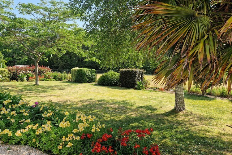 Maison 6 personnes avec jardin à Auray, près du Golfe - Photo 20