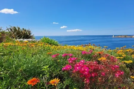 holiday home Plozévet, Maison à Plozévet proche des Plages - Photo 33