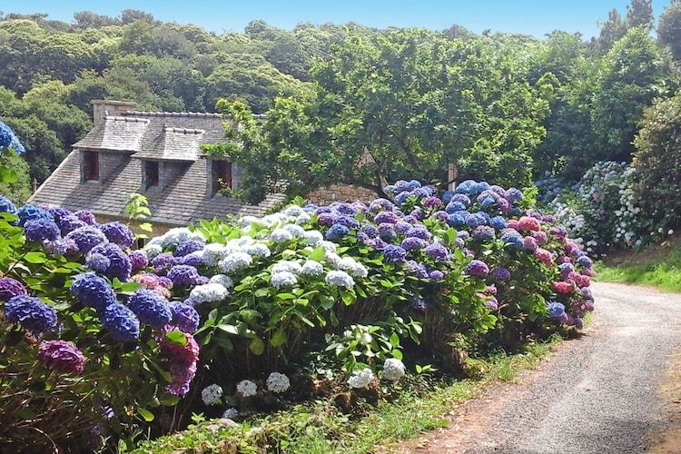 Maison bretonne avec jardin à 500 m de la plage - Photo 19
