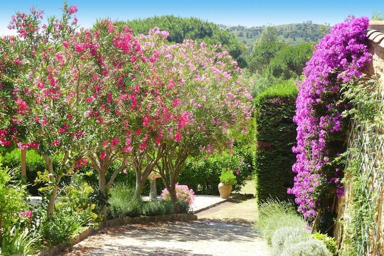 Maison provençale avec piscine et vue mer à Roquebrune-sur-Argens - Photo 14