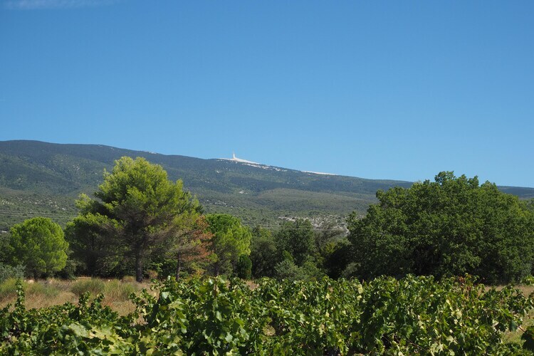 Maison climatisée au pied du Mont Ventoux, piscine privée - Photo 28