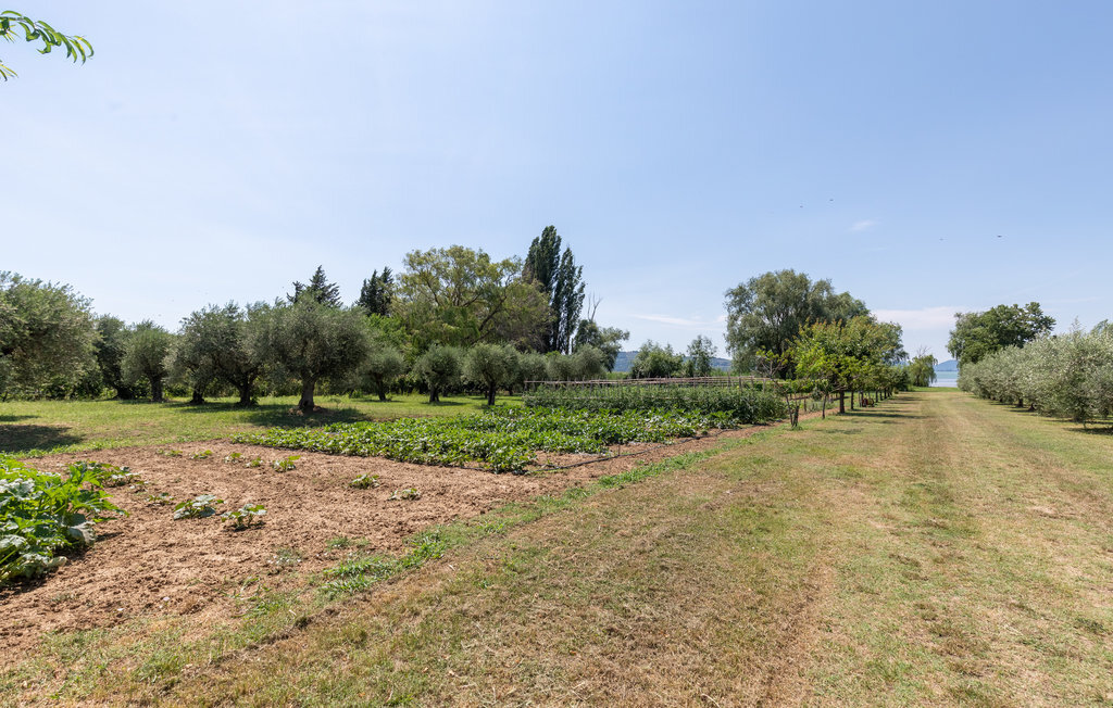 Maison 15 pers. au bord du lac Trasimène avec piscine - Photo 43