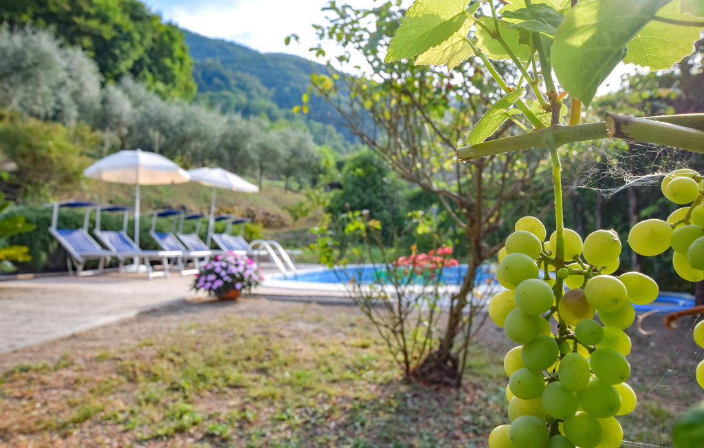 Casa Castagnetoli : maison pierre avec piscine privée - Photo 17