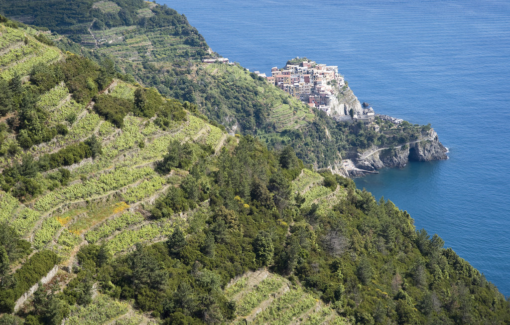Casa Castagnetoli : maison pierre avec piscine privée - Photo 19