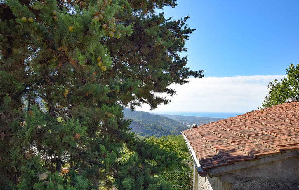 Maison 5 chambres avec terrain à Fabbiano - Photo 13