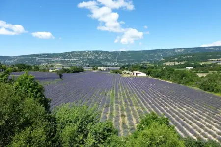 Ferienhaus in Apt, Gîte au Luberon près du marché d'Apt - Photo 16