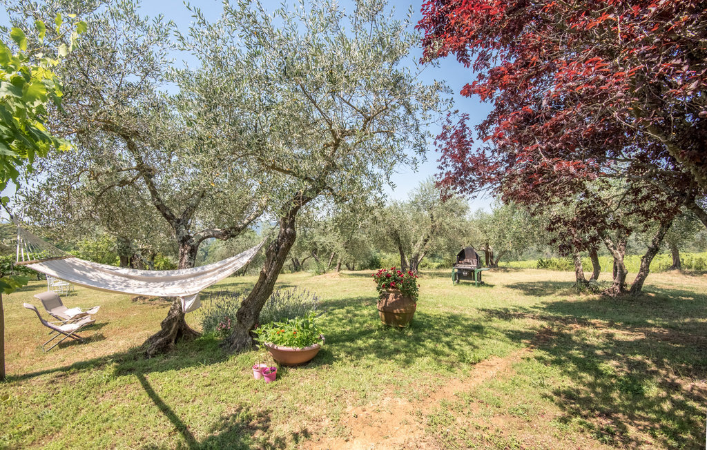 Casa Alfredo - Maison Toscane à 7 km de Sienne - Photo 6