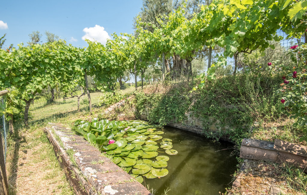 Casa Alfredo - Maison Toscane à 7 km de Sienne - Photo 15