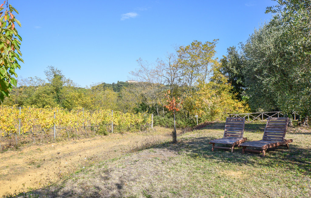 Casa Alfredo - Maison Toscane à 7 km de Sienne - Photo 26