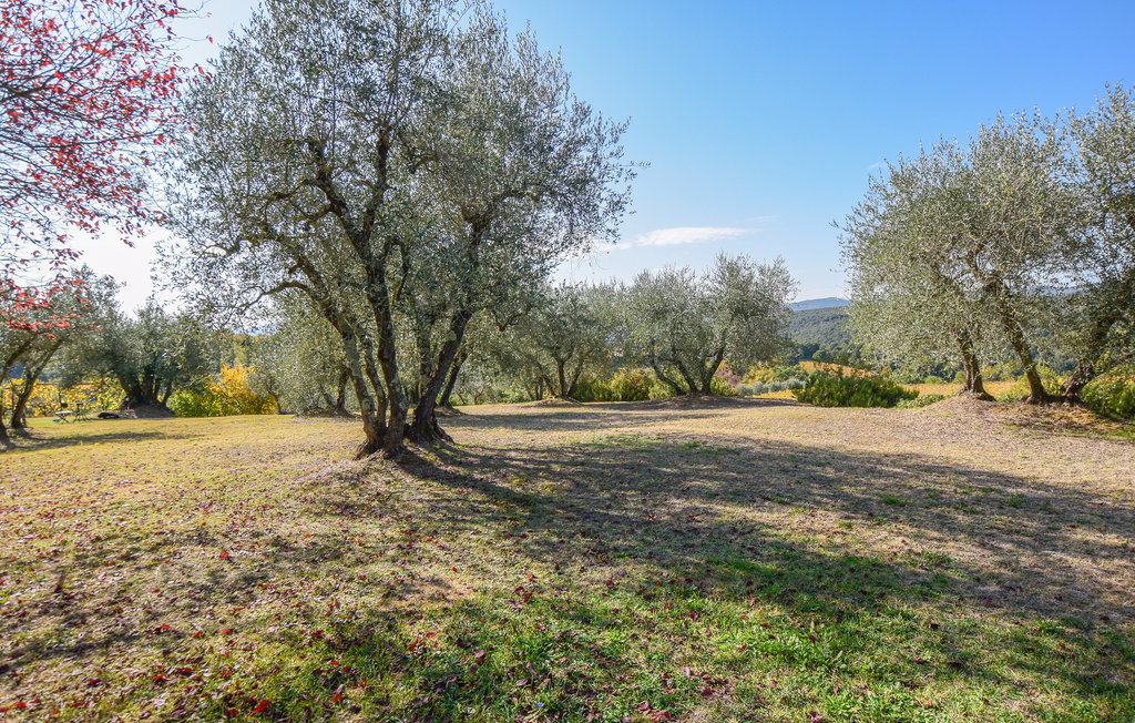 Casa Alfredo - Maison Toscane à 7 km de Sienne - Photo 27