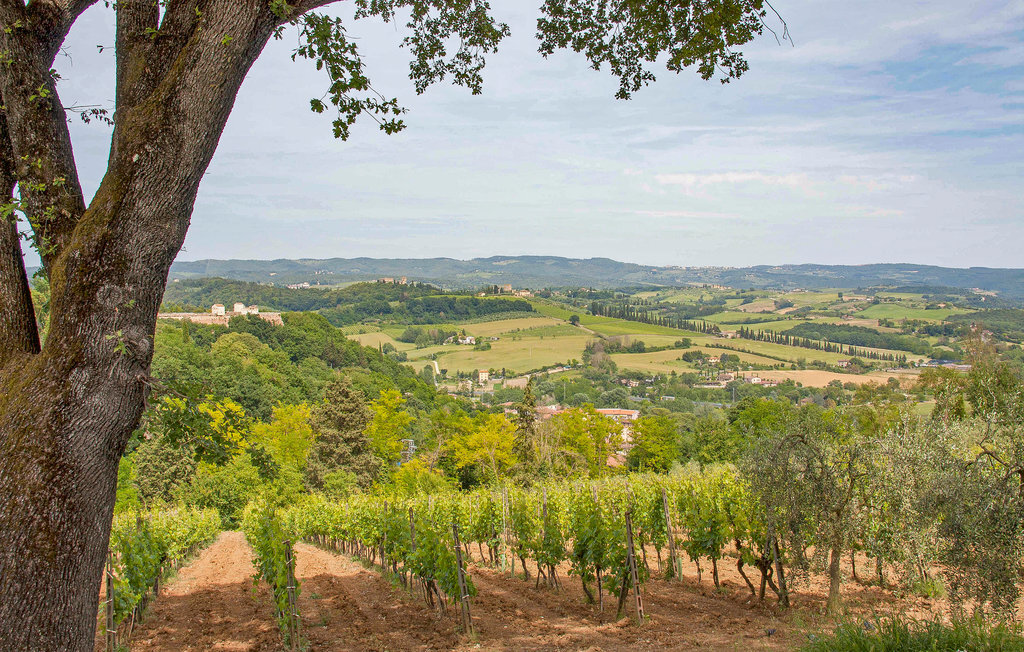 Casa Alfredo - Maison Toscane à 7 km de Sienne - Photo 28