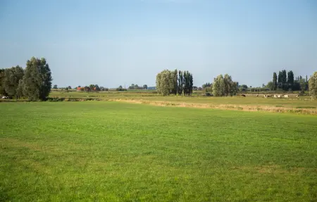 Maison de groupe 30 pers. avec piscine chauffée à Diksmuide : photo 47