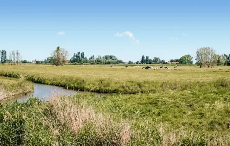 Maison 4 personnes à Diksmuide - Photo 11