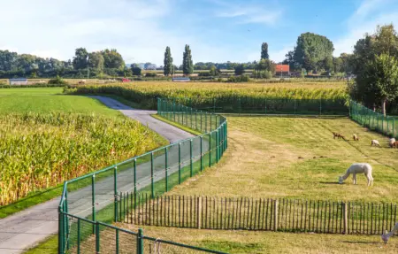 Maison 4 personnes à Diksmuide - Photo 21