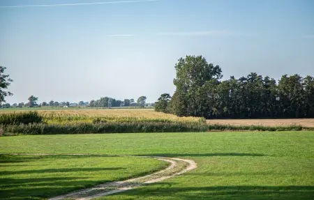 Maison 4 personnes à Diksmuide - Photo 23