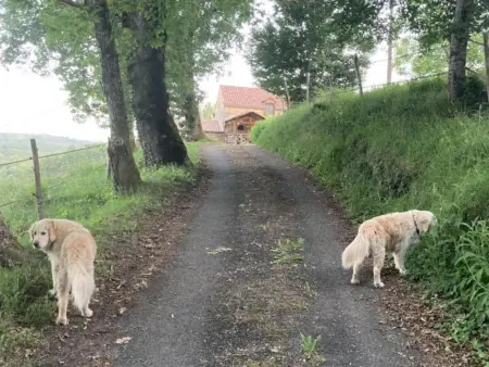 Mas dAmour, Maison de campagne avec vue et piscine privée - Photo 28