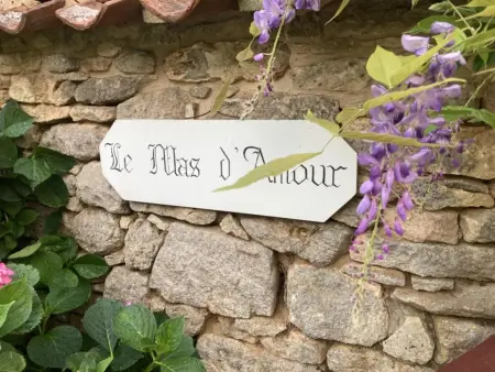 Mas dAmour, Maison de campagne avec vue et piscine privée - Photo 29