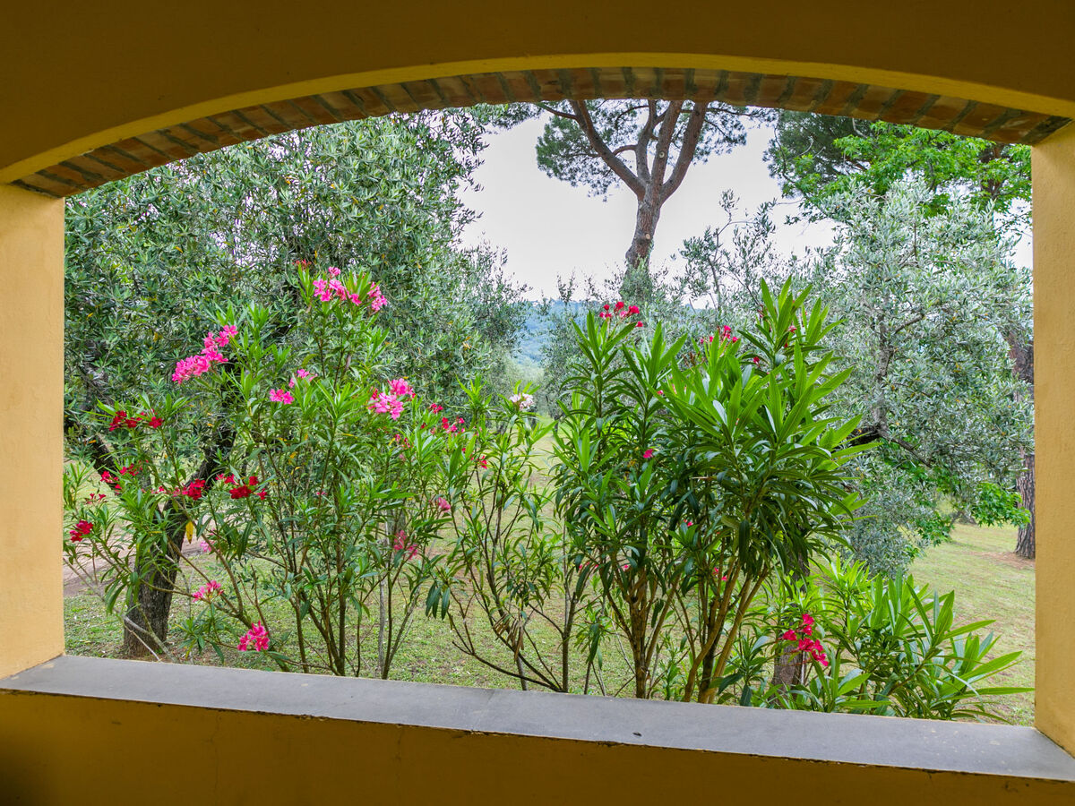 Tenuta San Lazzaro, gîte 10 pers., piscine et tennis - Photo 49