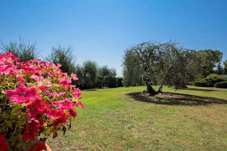 Lago : gîte rural 4 pers., piscine et jardin en Toscane - Photo 20