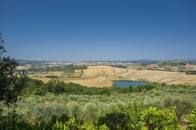 Lago : gîte rural 4 pers., piscine et jardin en Toscane - Photo 24