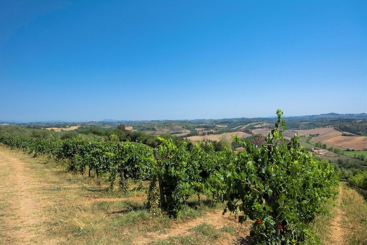 Lago : gîte rural 4 pers., piscine et jardin en Toscane - Photo 26
