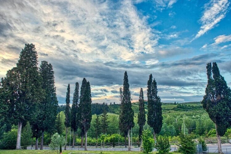 Lago : gîte rural 4 pers., piscine et jardin en Toscane - Photo 39