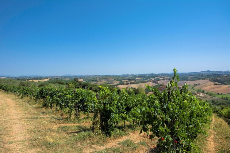 Focolare, ferme toscane 7 pers. avec piscine - Photo 29