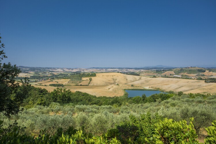 Focolare, ferme toscane 7 pers. avec piscine - Photo 31