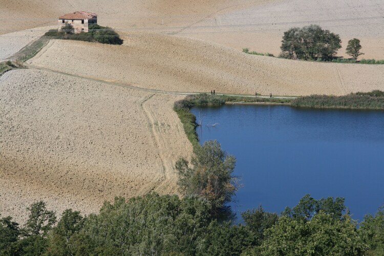 Focolare, ferme toscane 7 pers. avec piscine - Photo 32