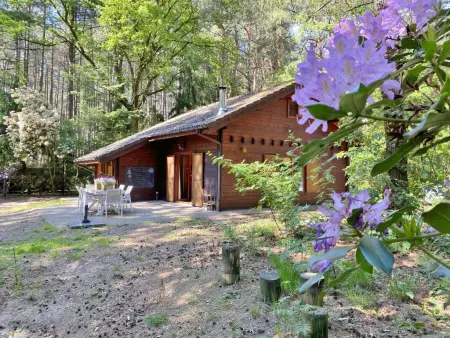 Location maison à Lille