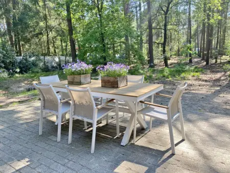 Chalet en forêt à Lille, Belgique : jardin clos 2500 m² : photo 7