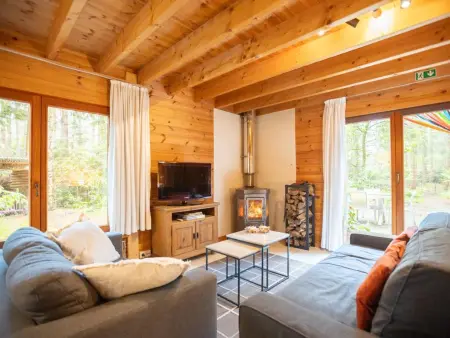Chalet en forêt à Lille, Belgique : jardin clos 2500 m² : photo 8
