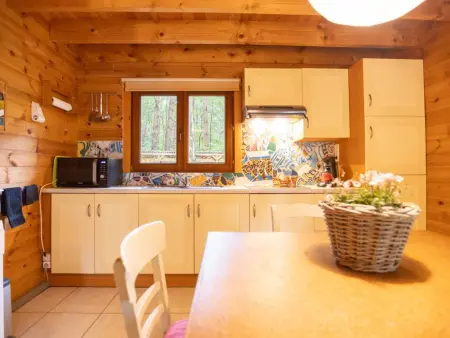 Chalet en forêt à Lille, Belgique : jardin clos 2500 m² : photo 12
