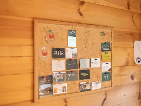 Chalet en forêt à Lille, Belgique : jardin clos 2500 m² : photo 19