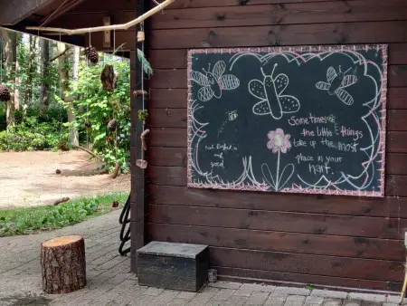 Chalet en forêt à Lille, Belgique : jardin clos 2500 m² : photo 20