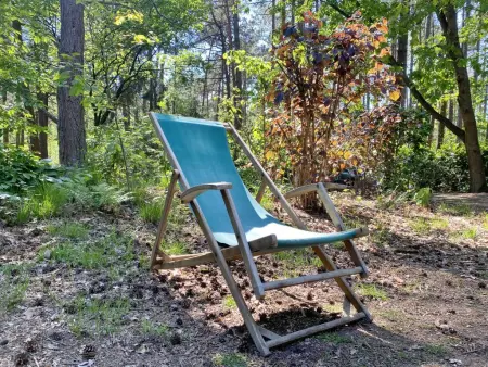 Chalet en forêt à Lille, Belgique : jardin clos 2500 m² : photo 21